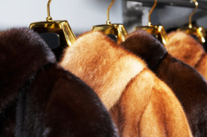 Rich female fur coats on sale in shop